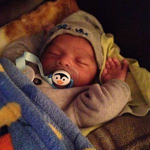 Meet your Posher, Elmer